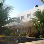 Villa Escondida Guest House Cozumel Downtown