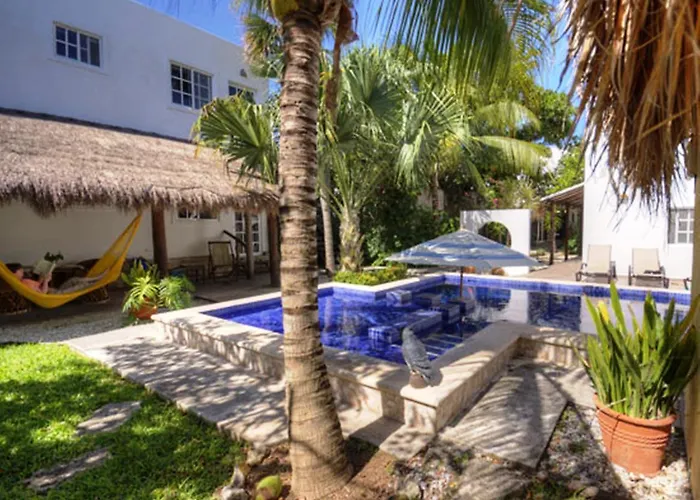 Villa Escondida Guest House Cozumel Downtown